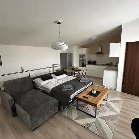 Apartment Loft With Large Terrace