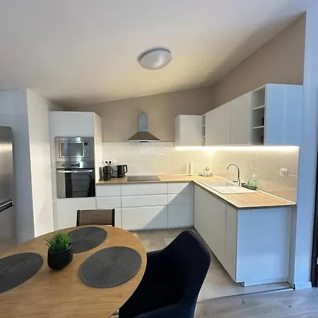 Loft With Large Terrace